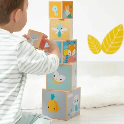 Janod Piramide Pure a 6 cubi
