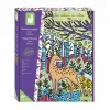 Janod Pittura Magica Foresta