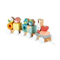 Janod Pure Treno (legno)