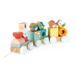 Janod Pure Treno (legno)