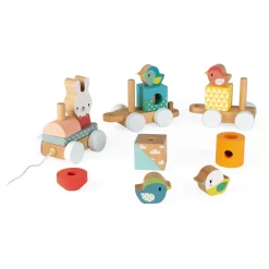 Janod Pure Treno (legno)
